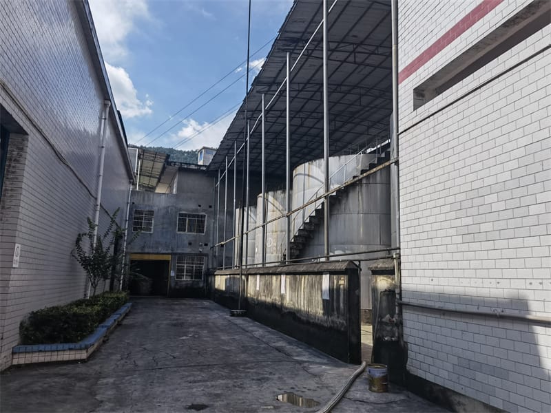 公司实力