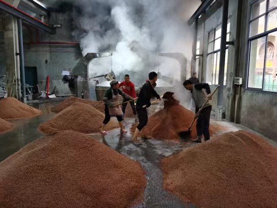 公司实力